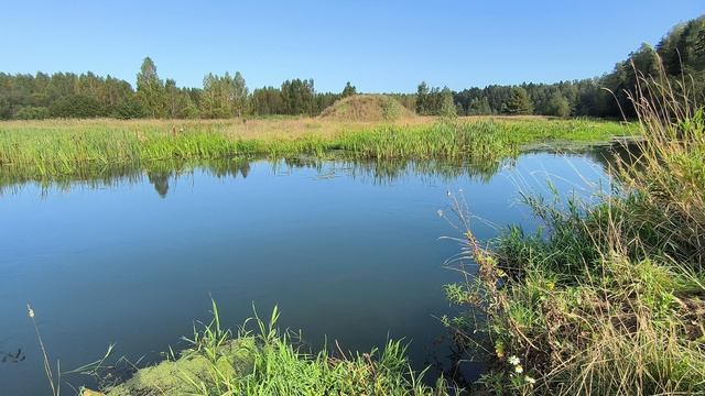 Река Уводь. ч.1. Сентябрь 2025