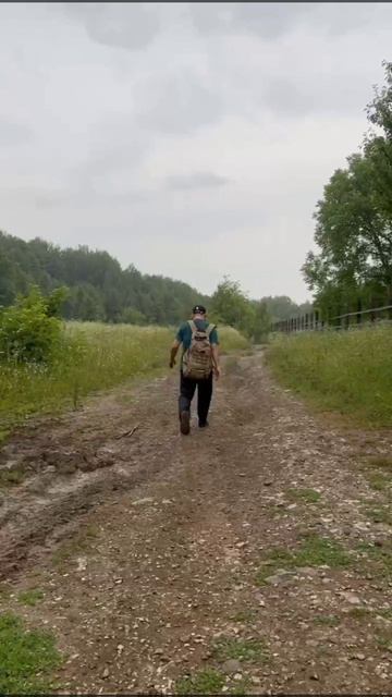 в дождь прогулка красивые места приводят