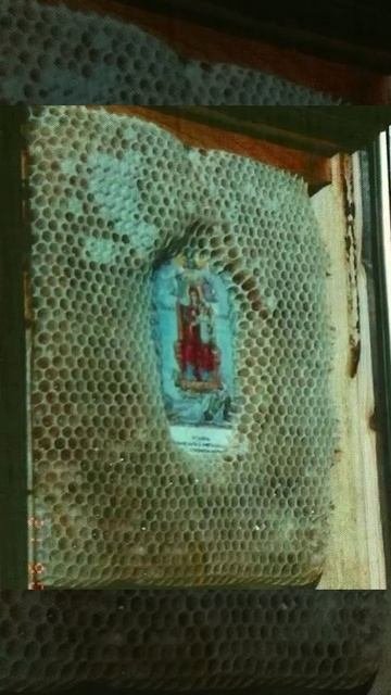 Bees Respect Holy Icons