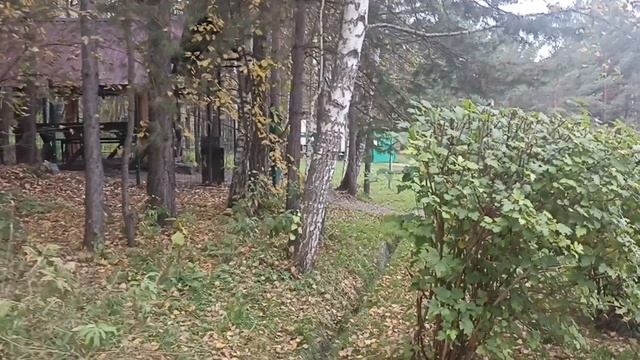 парк Кольцово