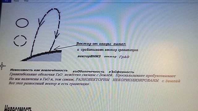 1.   Невесомость   Физическая природа   Объяснения  Безопорная  Амплитудная  Безвекторная