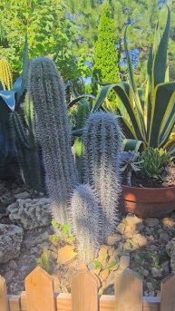 Осенний вайб Абрау-Дюрсо