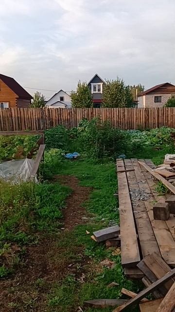 Соседи залезли в мой огород🫣😂