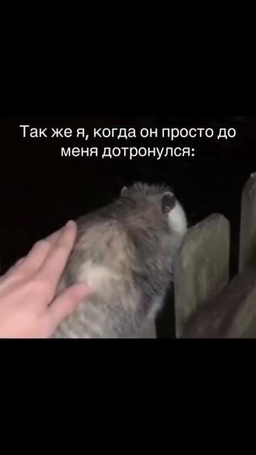 Ну а дальше сам… 😂