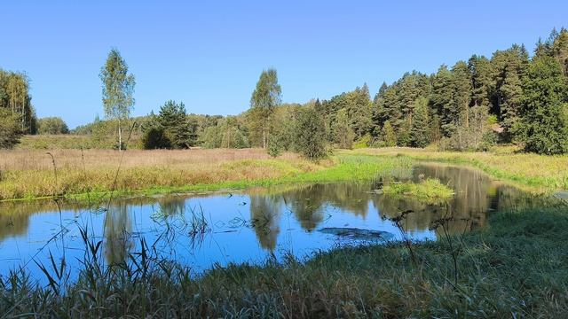 Река Уводь. ч.3. Сентябрь 2025
