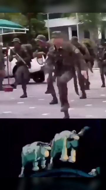 Точно они