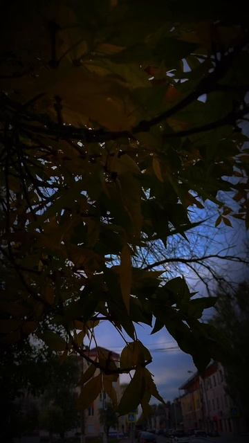 Осень прекрасна🍁