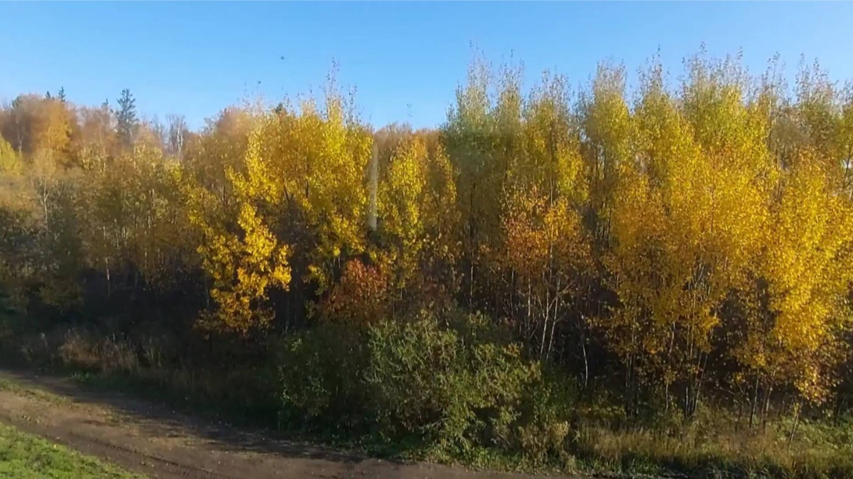 Осень.  На дачу .Красноярский край