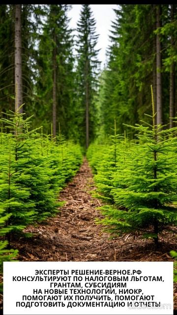 Углеродные единицы УЕ что это такое зачем и кому они нужны кто их продает кто покупает что они дают