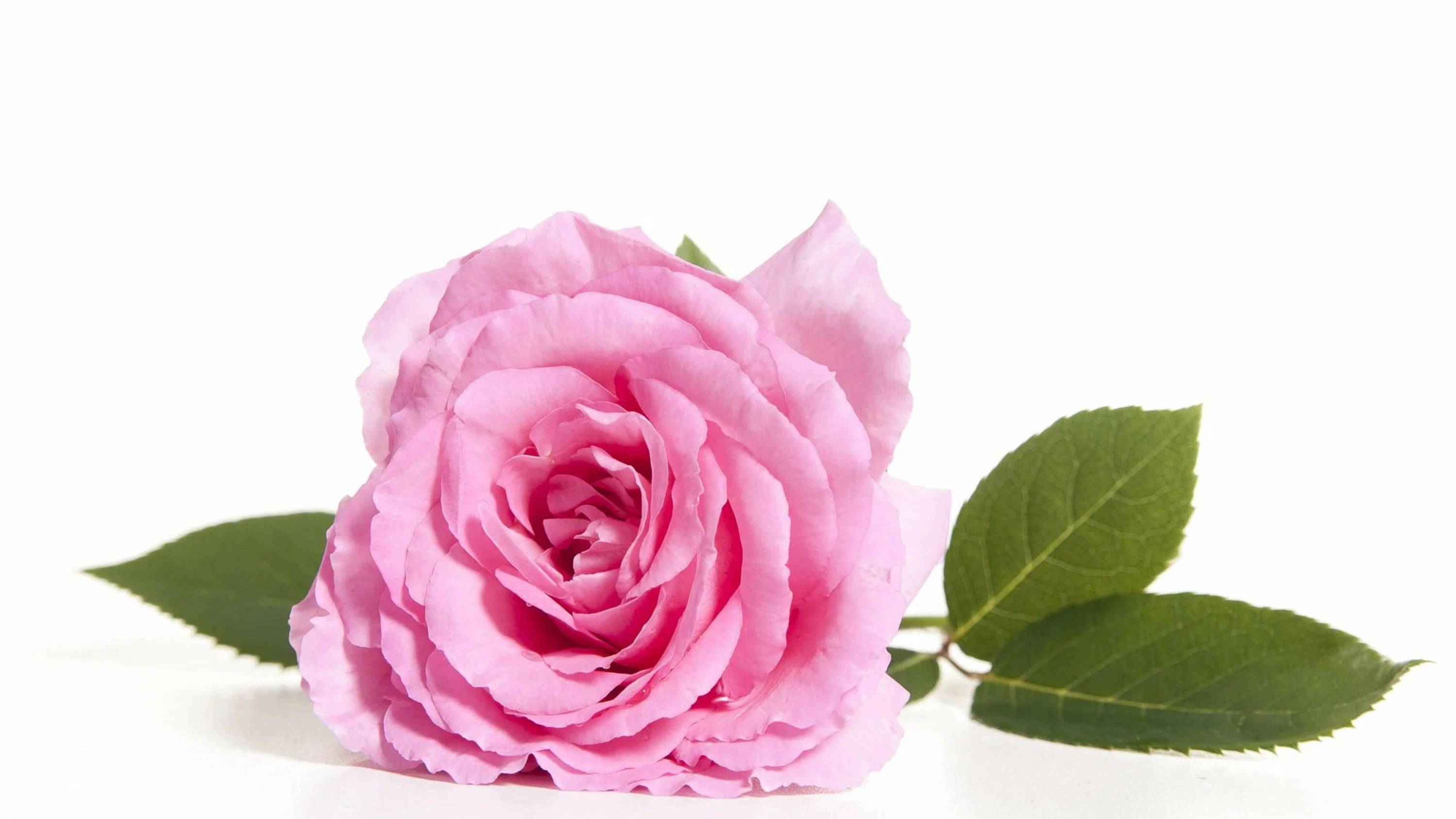 21 сентября 2025 г. Воскресная служба на русском языке