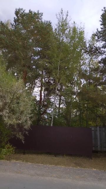 Дачные пейзажи 🍂