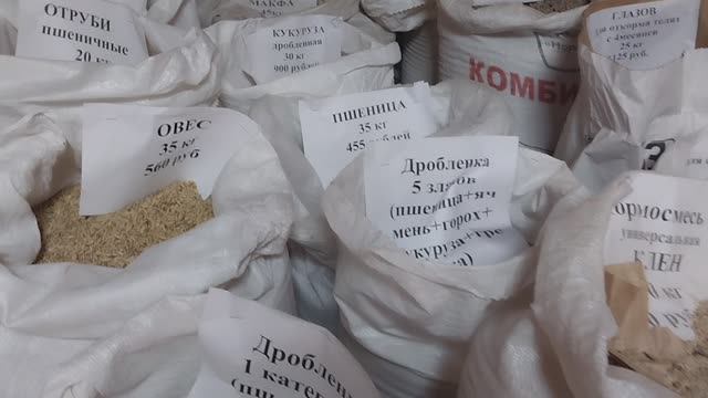 Из города в деревню. Собираю мужа на вахту.