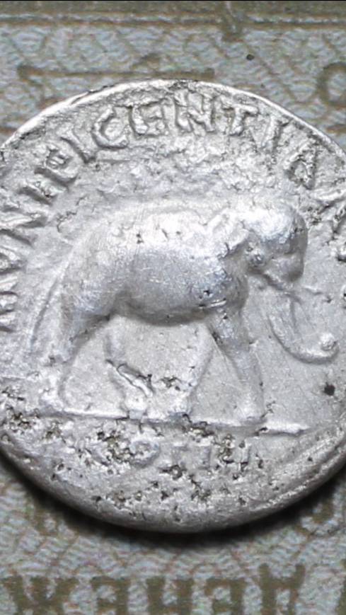 Медная матрица для изготовления Римского денария, Семптимий Север, 193-211 годы. (Слон)