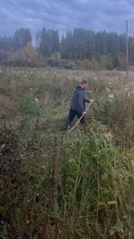 VID_20250917_090716_739.mp4.mov