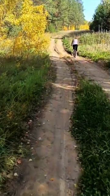 🍁вчера катались на велосипеде по лесу🍂