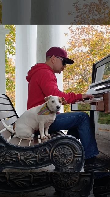 Белла и концерт 😎🐶🎹🎶