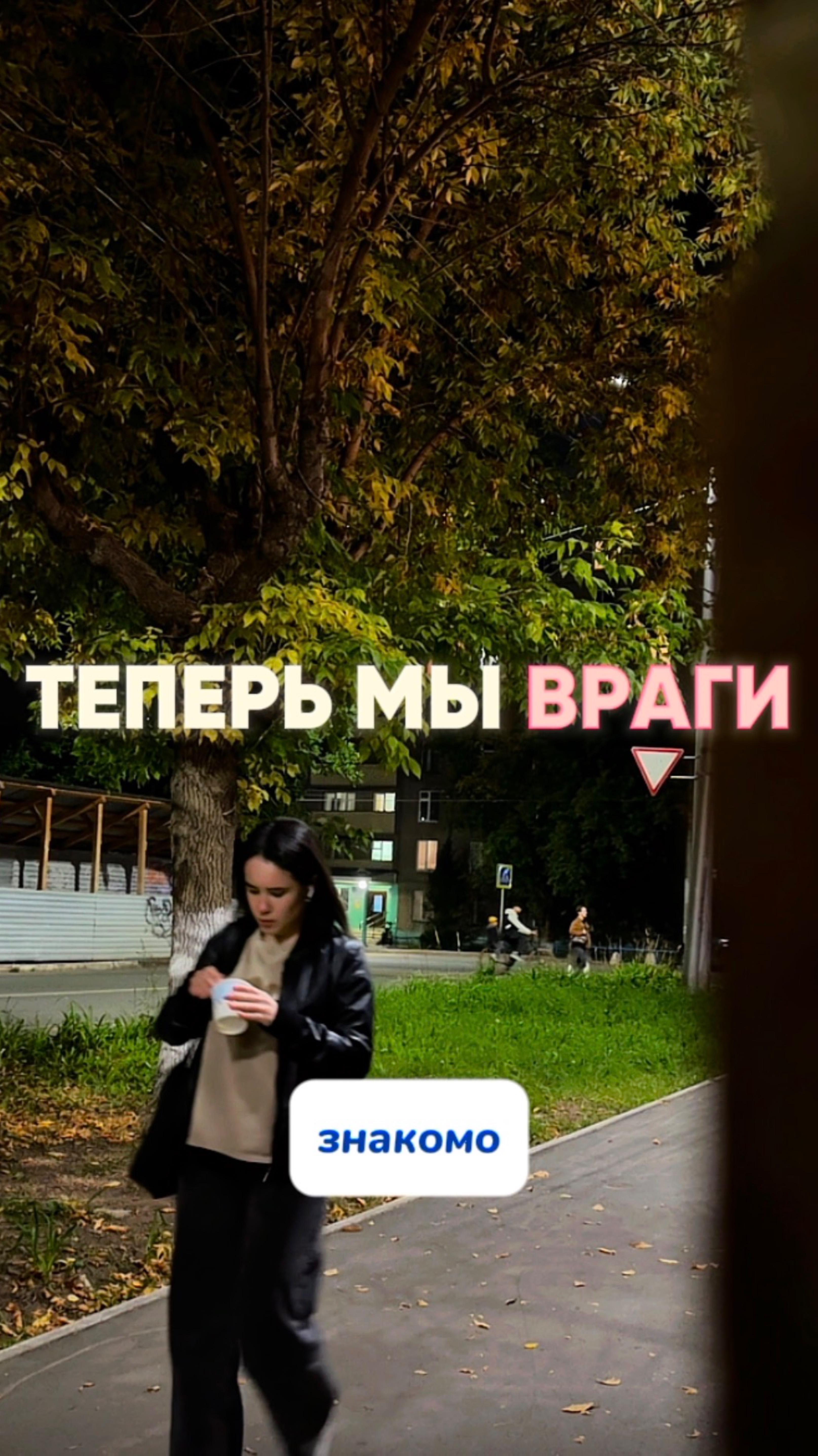 Теперь мы враги! Артикул на пятновыводящие салфетки WB #234627478 Ozon #1641932840