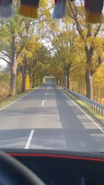 Осенняя дорога. #осень #дорога #road #trucker #truckerlife #truckdriver #дальнобойщики #дальнобой #в