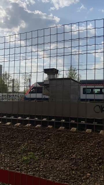 Поезд иволга 40 белый 
на МЦД 4