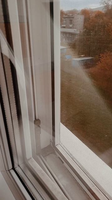 обзор на моего кота