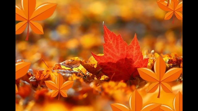 ФУТАЖ - ЗОЛОТАЯ ОСЕНЬ