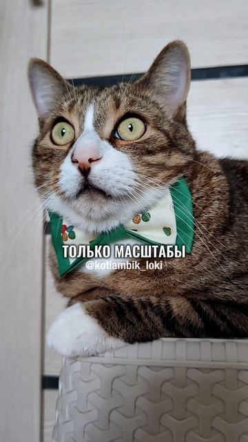 Когда лёг спать на голодный желудок😂