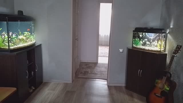 Мои аквариумы 22.09.2025г