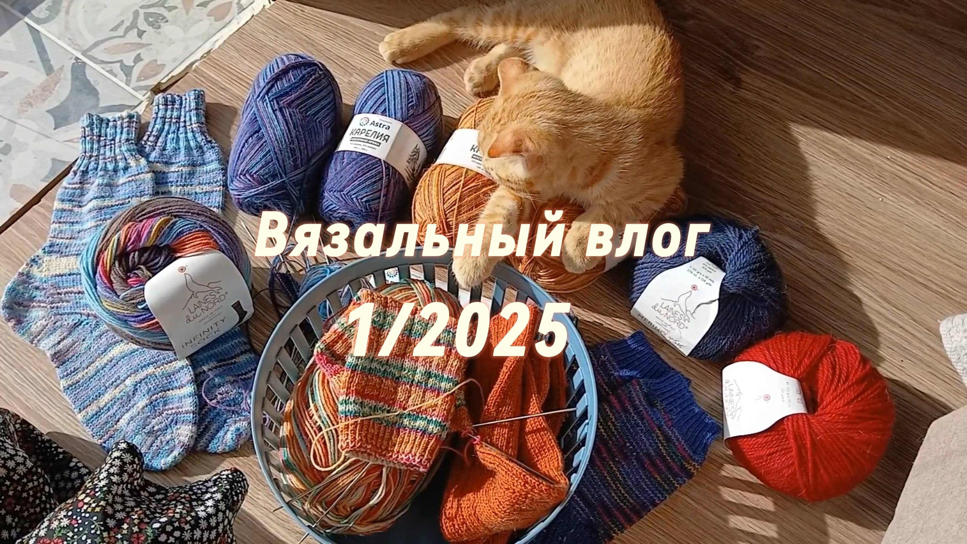 Августносочная пряжа Астра Карелиямного носковпряжа Laines du Nord Infinity Sock