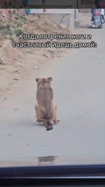 у меня также