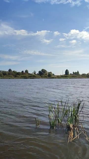 ОСЕННИЙ КАРАСЬ, Орловская область, Большое Юрьево, 20~21.09.25.