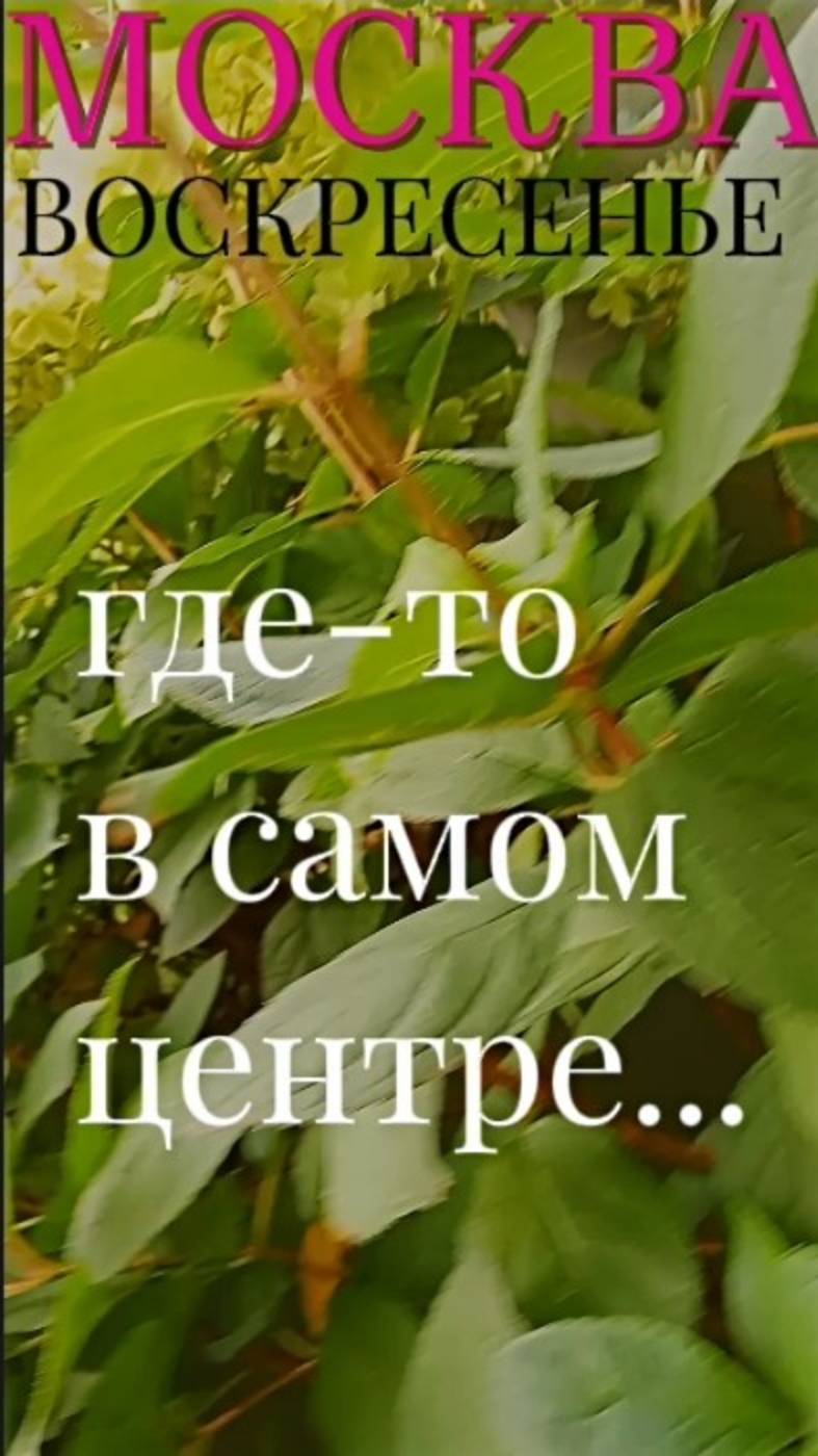 А где-то в самом центре....