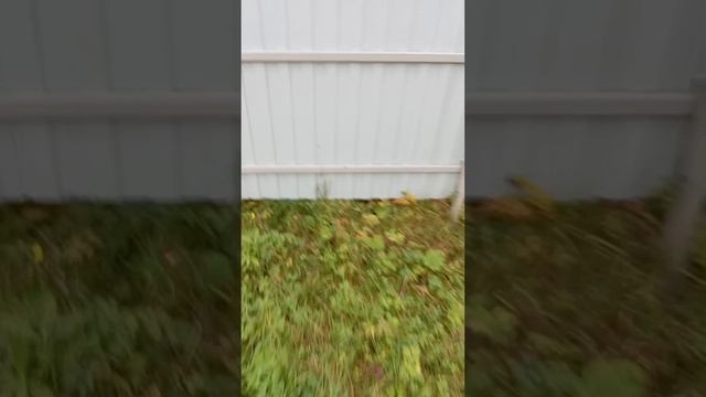 Дача ремонт козырька #дача#ремонт