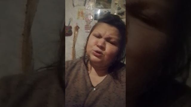 видио интервиденье мое виденье программы класс
