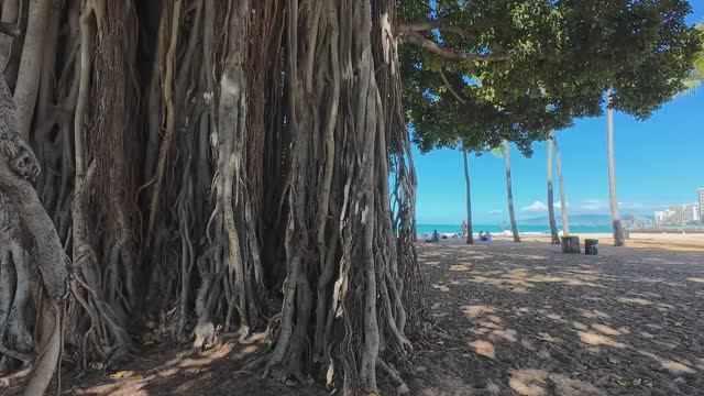 TODAY-in-Waikiki-HAwaii-Sept-10th-2025-Walking-Tour-WaikikiB