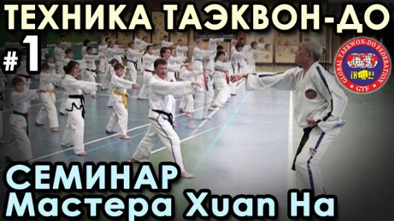 Техника Таэквон-до GTF: семинар Мастера Xuan Ha – 1.