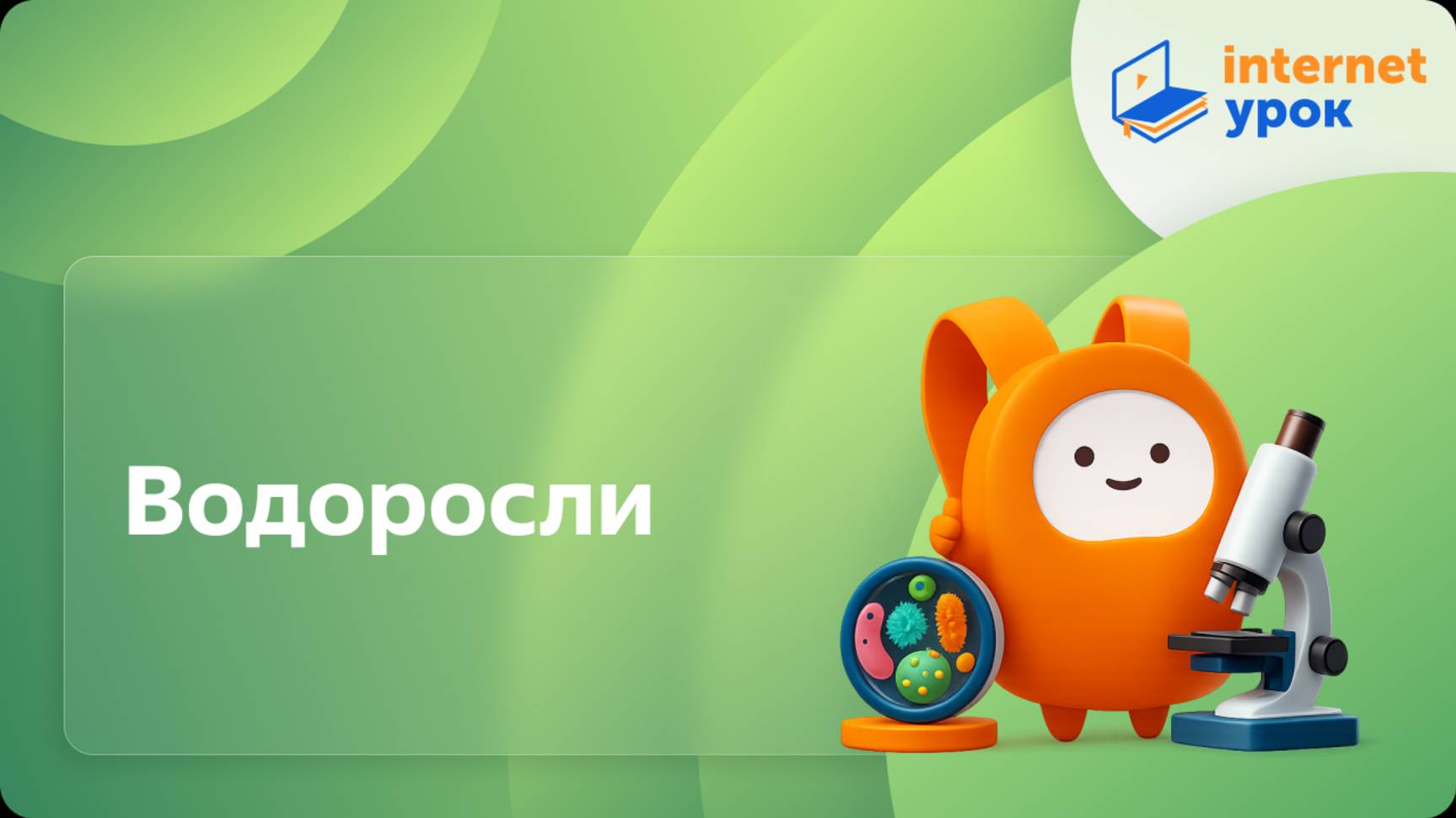 Водоросли. Видеоурок по биологии 5 класс