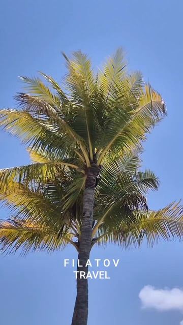 Как насыпают острова How islands are built