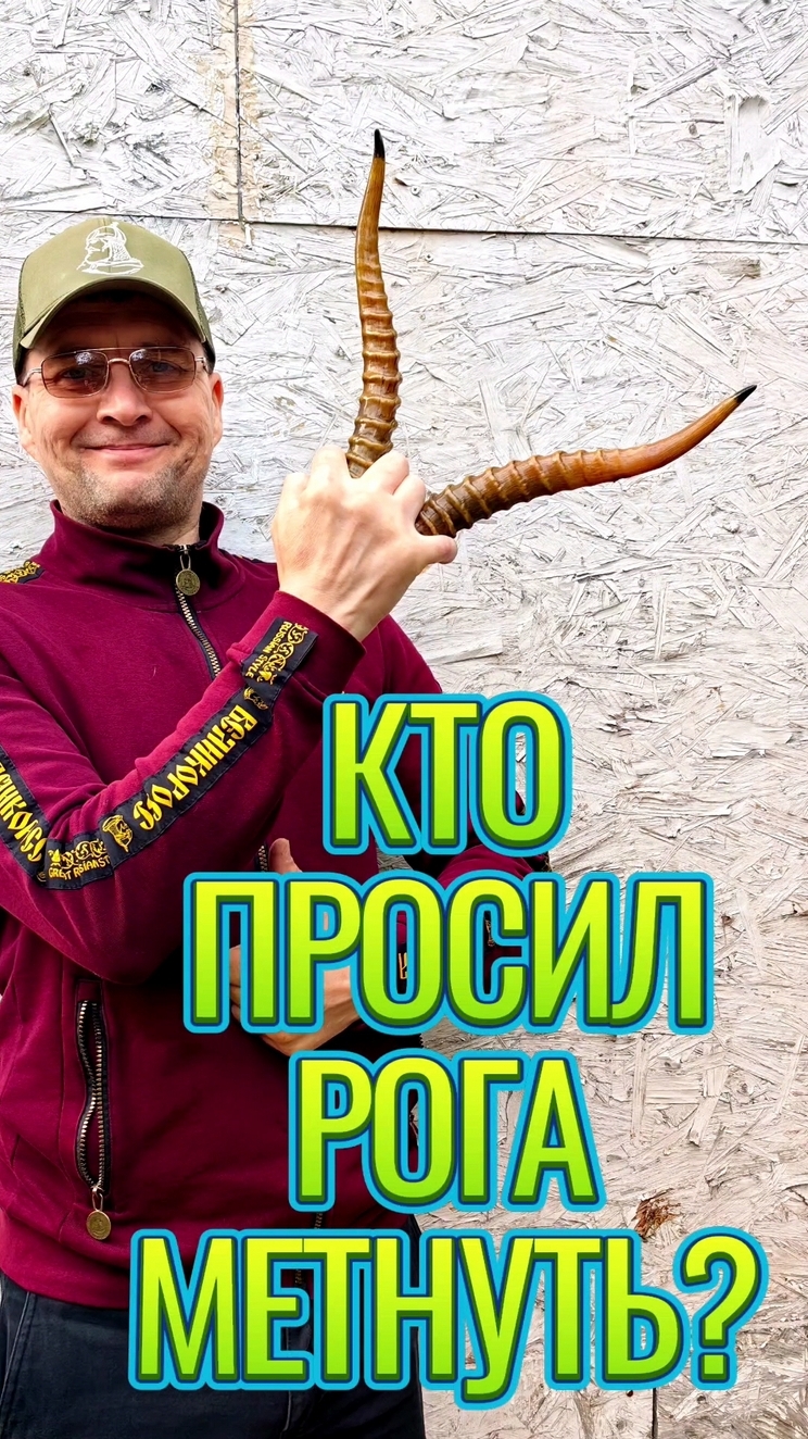 Кто просил рога метнуть?