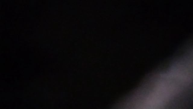 Любовь останется
