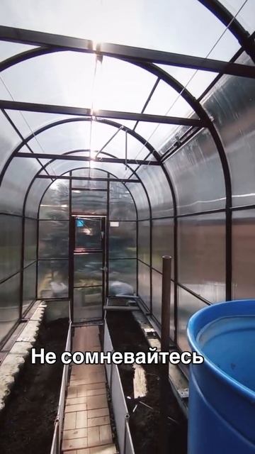 арочная крепыш