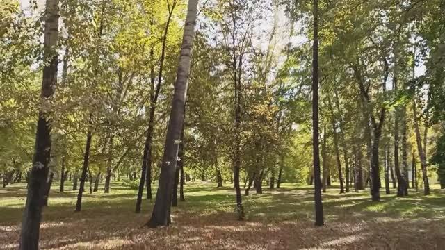 ОСЕНЬ ЗОЛОТАЯ ! НОВОКУЗНЕЦК