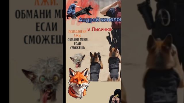 Лисичка и кинолог.