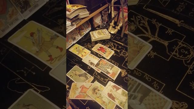 Тельцы октябрь 2025. Таро расклад