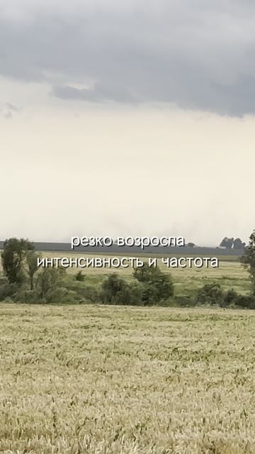 Пыльные бури и что делать #агроном #сельскоехозяйство #сергийризанов