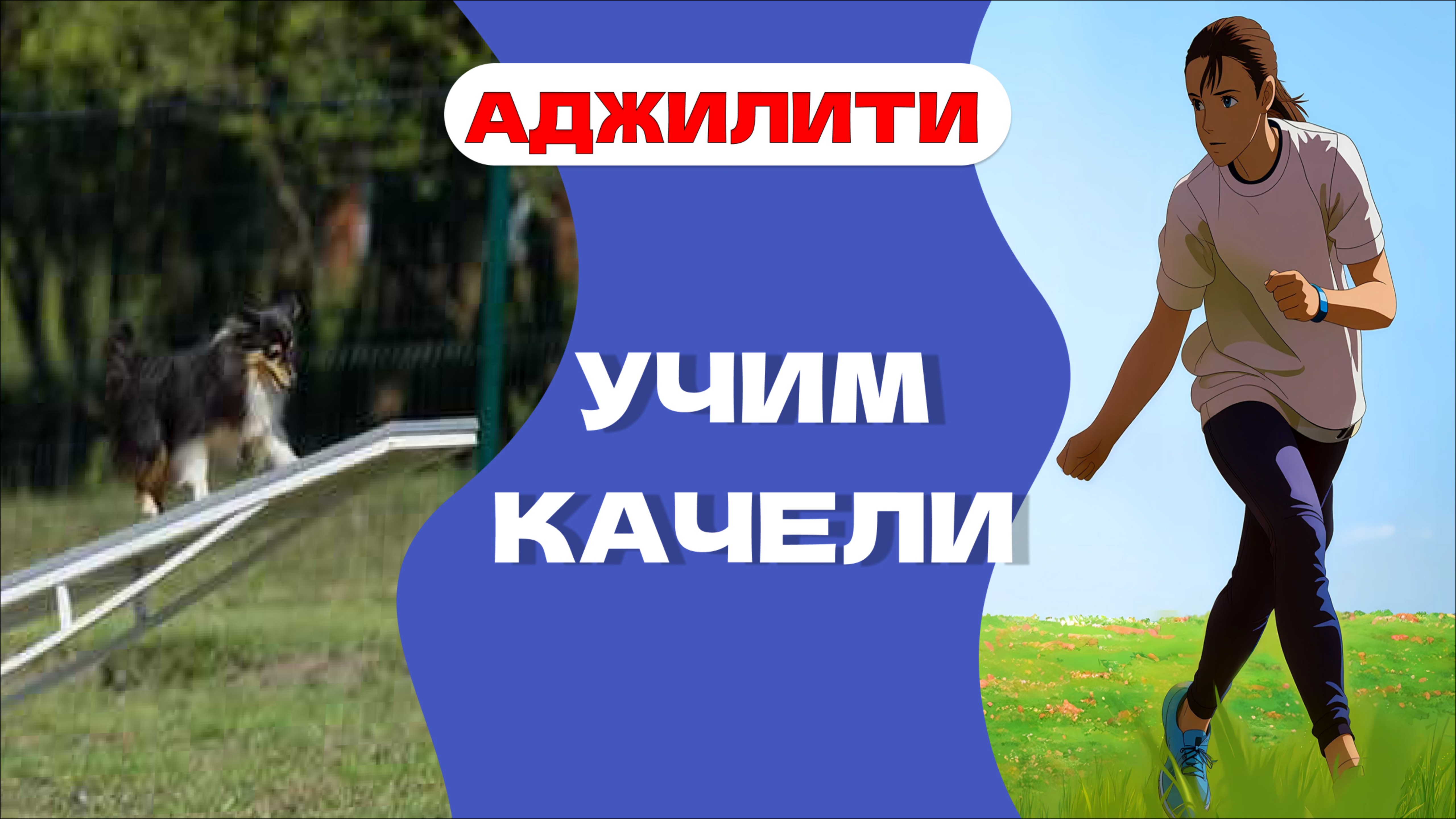 АДЖИЛИТИ: УЧИМ КАЧЕЛИ