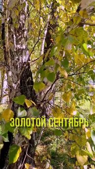 Золотой сентябрь