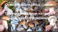 Осенний сезон сбора грибов 2025. ( Грибные выходные часть 17 )
