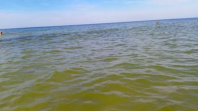 Автор канала впервые в этот год совершает заплыв в Балтийском море