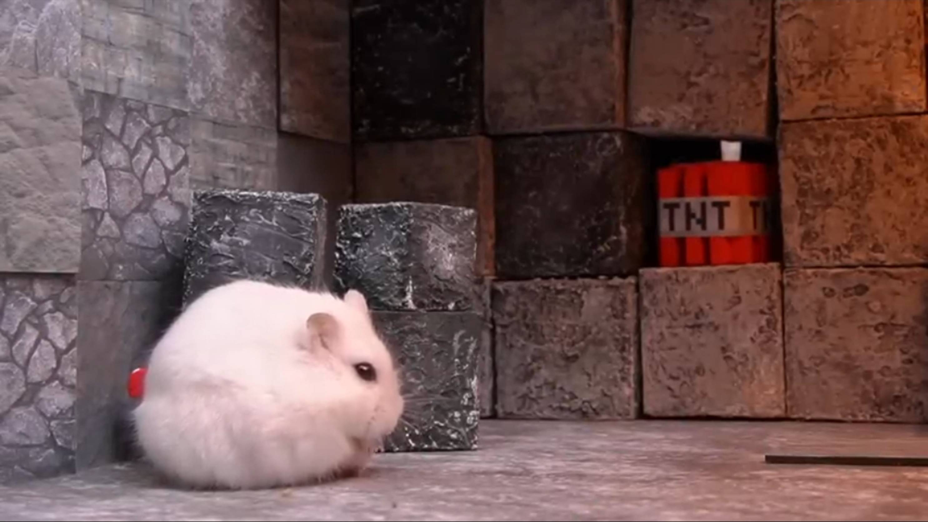 Майнкрафт в реальной жизни: Приключения хомячка в лабиринте 🐹