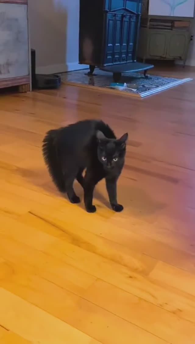 Thriller